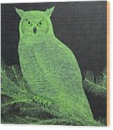 Great Horned Owl Wood Print