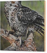 Great Horned Owl On Branch Wood Print