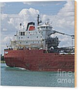 Great Lakes Transport Wood Print