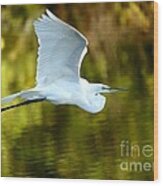 Great White Egret At Sunset Wood Print