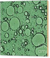 Green And Bubbles Wood Print