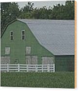Kentucky Green Barn Wood Print