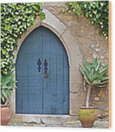 Green Castle Door Of Obidos Wood Print