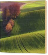 Green Fields Wood Print