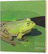 Green Frog Wood Print