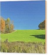 Green Hay Field And Autumn Trees In Maine Wood Print