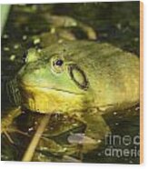 Green Toad Wood Print