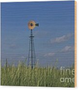Green Wheat  Field With Green And Yellow Windmill Wood Print