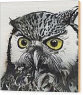 Grey Owl Wood Print