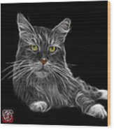Greyscale Maine Coon Cat - 3926 - Bb Wood Print
