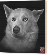 Greyscale Mila - Siberian Husky - 2103 - Bb Wood Print