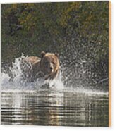Grizzly Attack Wood Print