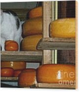 Guarding Cheese Wood Print