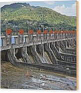 Guayabal Dam Wood Print