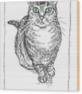 Guinness The Cat Wood Print