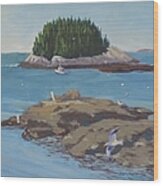 Gulls At Five Islands - Art By Bill Tomsa Wood Print