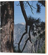 Sierra Nevada Wood Print