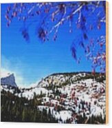 Hallet Peak Colorado 4406 Wood Print