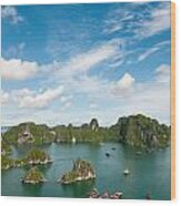 Seascape Of Halong Bay In The Pacific Ocean, Vietnam Wood Print