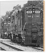 Hampton Branchville Gp9 859 Wood Print