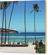 Hanauma Bay Wood Print