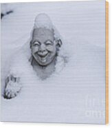 Happy Buddha In Snow Wood Print