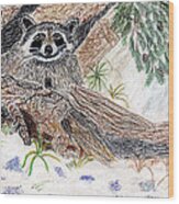 Happy Raccoon Wood Print