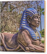 Hard Rock Sphinx Wood Print