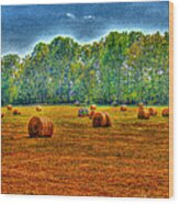 Havested Wheat Field Wood Print