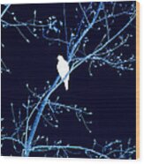Hawk Silhouette On Blue Wood Print