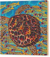 Hawksbill Sea  Turtle And  Snappers Wood Print