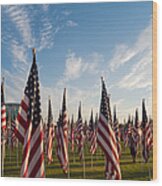 Healing Field Wood Print