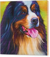 Colorful Bernese Mountain Dog Painting Wood Print by Michelle Wrighton