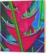 Heliconia Abstract Wood Print