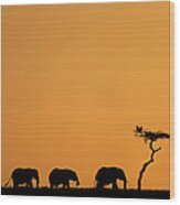 Herd Of Elephants And Vultures At Wood Print