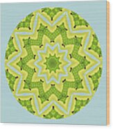 Here Birdie Birdie Mandala Wood Print