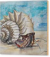 Hermit Crab 3 Wood Print