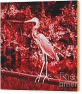 Heron In Red. Bird Wood Print