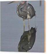 Heron Reflections Wood Print