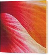 Hibiscus Curves Wood Print