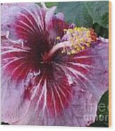 Hibiscus In Hawaii Wood Print