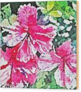 Hibiscus In The Sun Wood Print