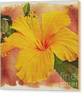 Hibiscus - Mango Sunshine Wood Print