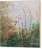 Hidden In The Reeds Wood Print