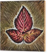 High Bush Cranberry Leaf Wood Print