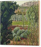 High Mountain Olive Trees Wood Print