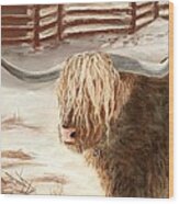 Highland Bull Wood Print