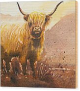 Highland Cow 2 Wood Print