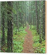 Hike To White River In Pukaskwa National Park Wood Print