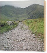 Hikers On A Long Trail Into The Wood Print